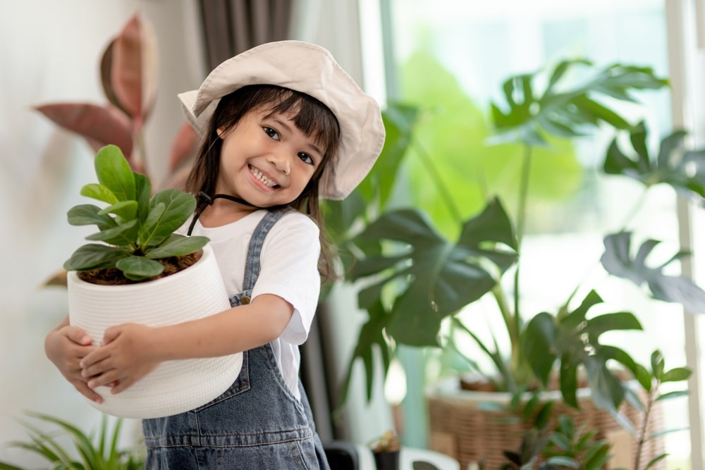 Potted plants for luck