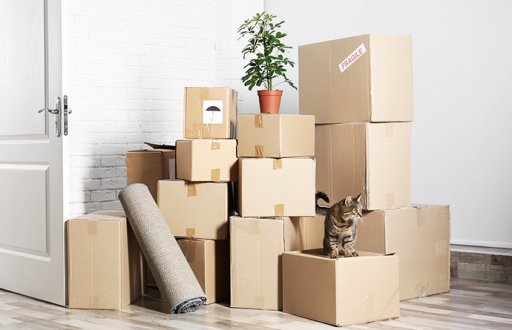 Master Movers Boxes